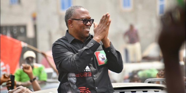 LP decries its omission from August bye-election by INEC