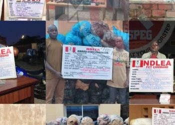 Fake pregnancy plot uncovered as NDLEA arrests widow with cocaine in Lagos