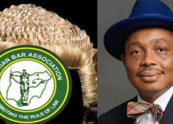 NBA sues police IG over tinted glass permit policy