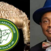 NBA sues police IG over tinted glass permit policy