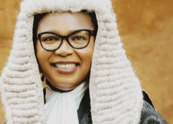 Why I support Tinubu’s state police endorsement – Prof Ezeilo