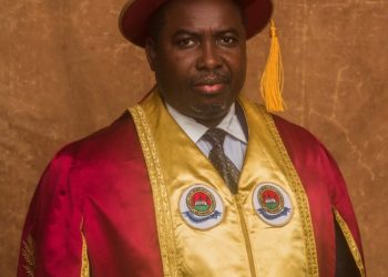 Amupitan appoints former PUNCH editor, Oketola as CPS