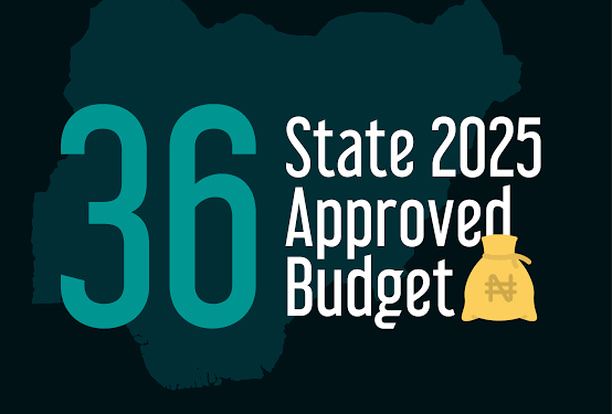 Only 7 out of 36 States have implemented 80% of their budget for health – BudgIT