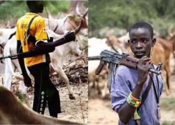 Govt provides us weapons – Fulani herdsman