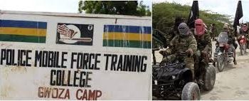 The Unspoken Genocide: Gwoza Christian community association account on Christian persecution in Gwoza, Borno State