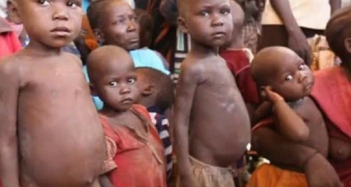 FEC okays $300m foreign loan for IDPs in North* Economy has picked up— FG