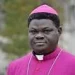 How Bishop Anagbe’s testimonies led Trump to designating Nigeria as country of concern 