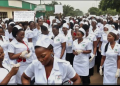 FG pledges support for nurses, midwives to host Commonwealth conference 