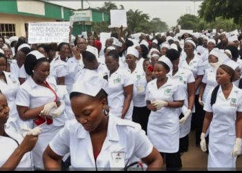 FG pledges support for nurses, midwives to host Commonwealth conference 