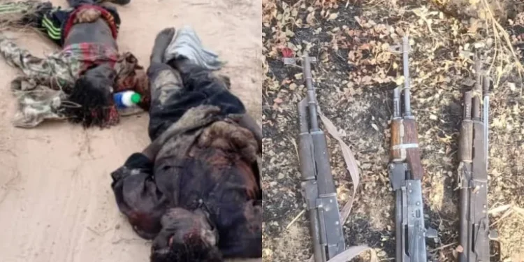 Troops neutralise 9 ISWAP terrorists, rescue 74 NYSC members in Borno