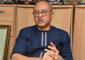 2027: Utomi, Falana, Bugaje, others form new coalition