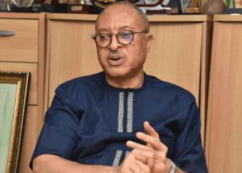 2027: Utomi, Falana, Bugaje, others form new coalition
