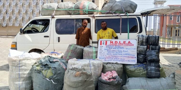 7.6m Tramadol pills, 76,273kg Colorado, Skunk seized in Delta, Imo, Adamawa raids