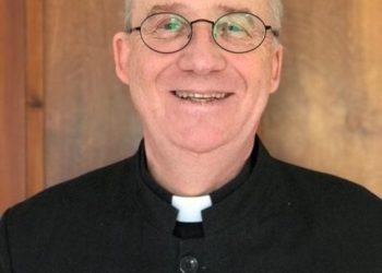 Gumi must be arrested for condemning US’ airstrikes – Nick Donnelly