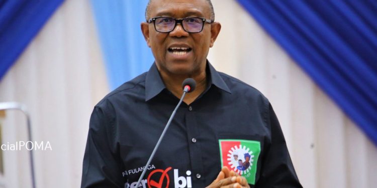 Where is 2025 revenue? Obi asks