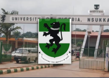 Nnaji: Place UNN-VC on suspension, group urges Minister