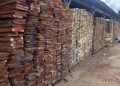 FG unveils Presidential Executive Order prohibiting exportation of wood, allied products 