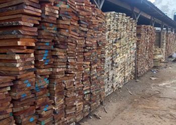 FG unveils Presidential Executive Order prohibiting exportation of wood, allied products 