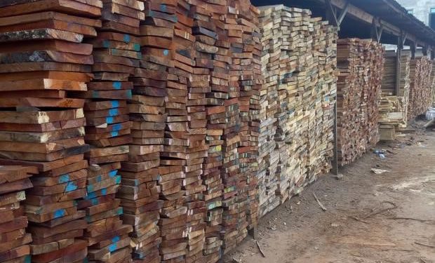 FG unveils Presidential Executive Order prohibiting exportation of wood, allied products
