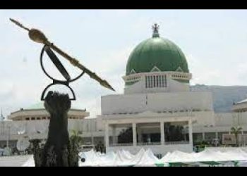 NASSLAF denounces APC Legislative Aides Support Group, dissociates from its activities