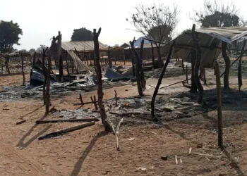 Borgu Massacre: Bandits slaughter 42, abduct several in Niger State