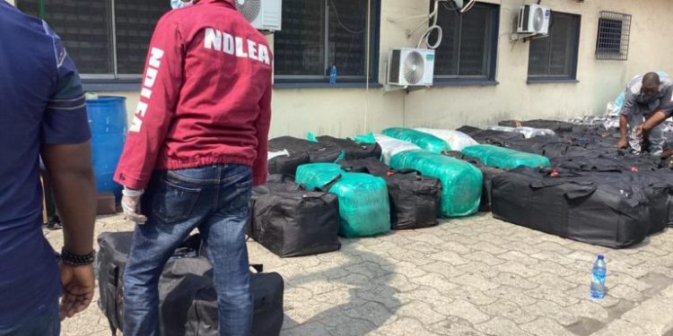 NDLEA nabs Brazil returnee with Cocaine hidden on body 