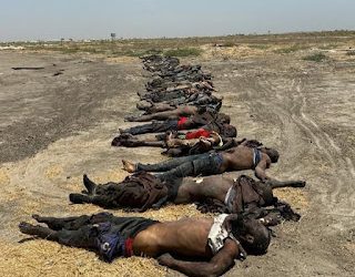 Nigerian Military eliminate 61 terrorists in Malam Fatori, Borno state