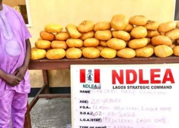 NDLEA arrests ex-Lagos council chief, recovers illicit drugs