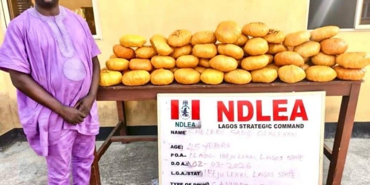 NDLEA arrests ex-Lagos council chief, recovers illicit drugs