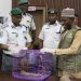 NESREA receives pangolins, hails increasing awareness on wildlife conservation 