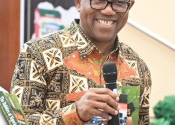 Peter Obi condemns Borno terrorist attack, demands urgent action to end killings in Nigeria