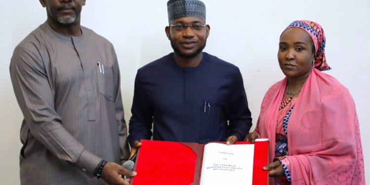 NERC, State Regulators Inaugurate FONER to Improve Electricity Regulation