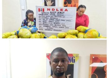 NDLEA intercepts large cocaine consignment concealed in heads of dry stock fish