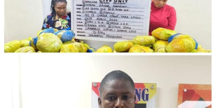 NDLEA intercepts large cocaine consignment concealed in heads of dry stock fish