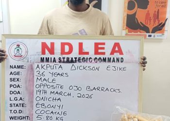 NDLEA intercepts large cocaine consignment concealed in heads of dry stock fish