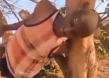 ‘Top soldier’ behind Abuja terror attacks, says Boko Haram suspect