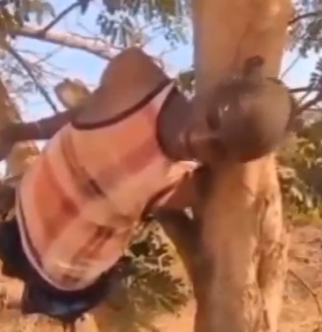 ‘Top soldier’ behind Abuja terror attacks, says Boko Haram suspect