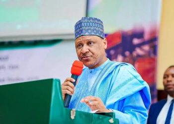 Nigeria records continued security gains, reaffirms stability amid U.S. advisory – FG