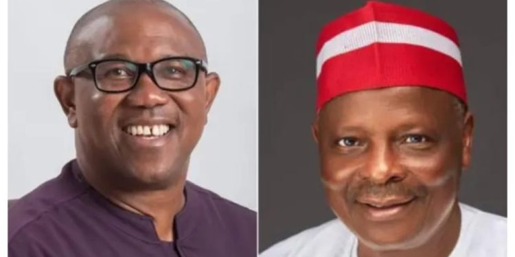 Kwankwaso agrees to be Peter Obi’s running mate – Ibrahim Abdulkarim