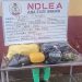 93-year-old great grandpa, 69-year-old medical doctor arrested over Cocaine, Skunk trafficking – NDLEA