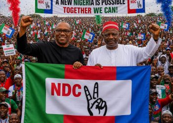 Obi, Kwankwaso join NDC