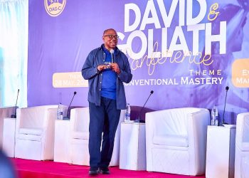 Politicians are the Goliaths in our polity – Obi 