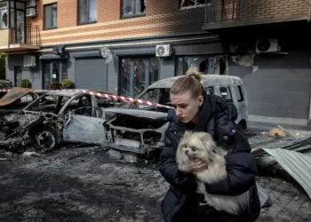 Over 15,800 people killed in Russia’s all-out war on Ukraine – UN