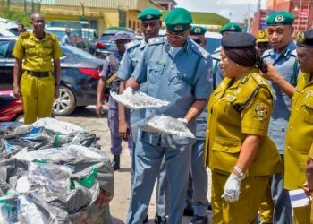 Customs, NDLEA intercept ₦16.6bn cannabis shipment at Lagos Port, nab suspects