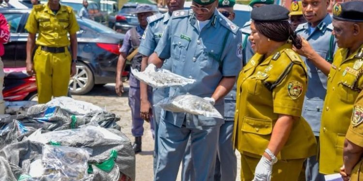 Customs, NDLEA intercept ₦16.6bn cannabis shipment at Lagos Port, nab suspects