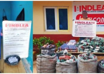NDLEA intercepts over 320,000 Tramadol capsules hidden in building materials