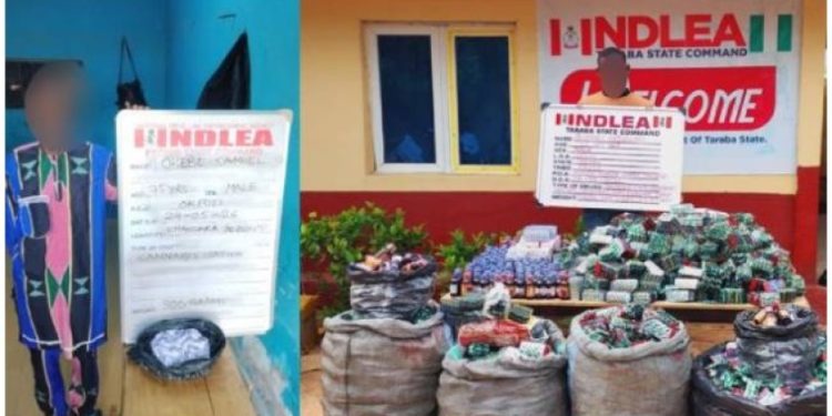 NDLEA intercepts over 320,000 Tramadol capsules hidden in building materials