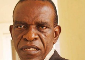 Off-Cycle Election: State capture, APC’s rehearsal and INEC’s playbook
