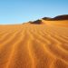 49 persons reportedly died of thirst in Sahara desert