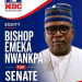 Anger as Anambra Govt arraigns Abia NDC senatorial aspirant for alleged fake miracles